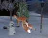 Christmas Reindeer Anim.