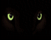 Cat eyes animated