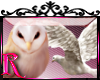*R* Dove & Owl Enhancer