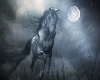 Horse Moon