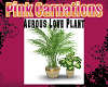 Aurous Love Plants