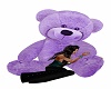 purple  cuddle bear