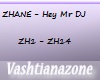 [V]ZHANE-HEY MR DJ