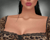 Caly bundle