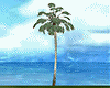 Thatch Palm Tree 