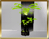 *TD*GREEN Banana Plant