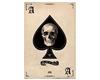 The Ace Of Spades