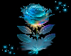 Aqua rose background
