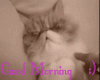 [FF]Good Morning KITTY