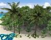Honeymoon Coconut Trees