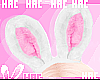 Pink Bun Ears