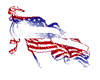 red white and blue 2