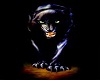 MJ- Panther Frame