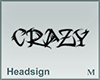 Headsign CRAZY