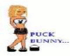 Puck bunny