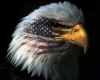 Eagle Flag U.S.A.