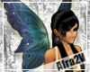 [V]Butterfly Wings*blue