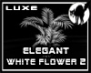 Elegant White Flower 2