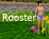 Rooster