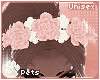 [Pets]Clessa |rose crown