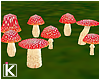 |K 🍃 Tea Time Fungi