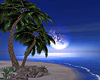 Small Island