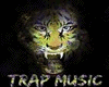 *K* Music Trap