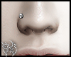 5C PIERCING NOSE