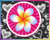 gyaru flower â¡ blu