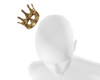 Floating Gold crown