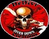 Cherokees Banner