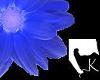 Blue Daisy