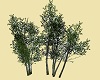 Birch Cluster V1