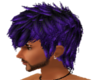 Darius Purple/Black Hair