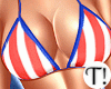 T! 4th July Set v4