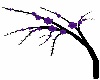 purple&Black branch - R
