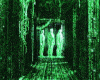 Matrix Beam