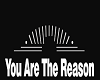 YM - YOU ARE THE REASON