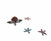 MAU/ BEACH TURTLE -STARS