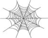 Spider Web Arm Tats
