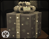 Christmas Gift Package
