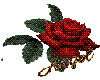 animated rose look