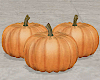 Farmhouse Fall Pumpkins