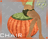 Seat Pumpkin 2a Ⓚ