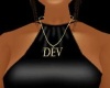 (ggd) DEV gold necklace