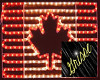 Canadian neon flag