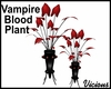 Vampire Blood Plant