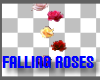 Falling MultiColor Roses
