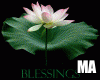 Blessings