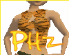 Phz ~ Tiger Star Tank